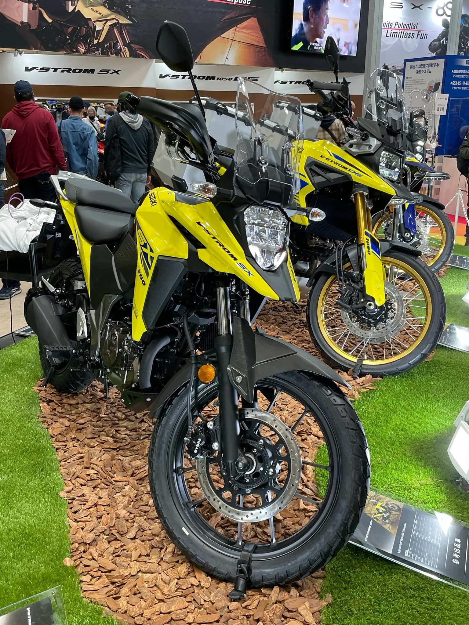 Suzuki V-Strom 800DE (-)