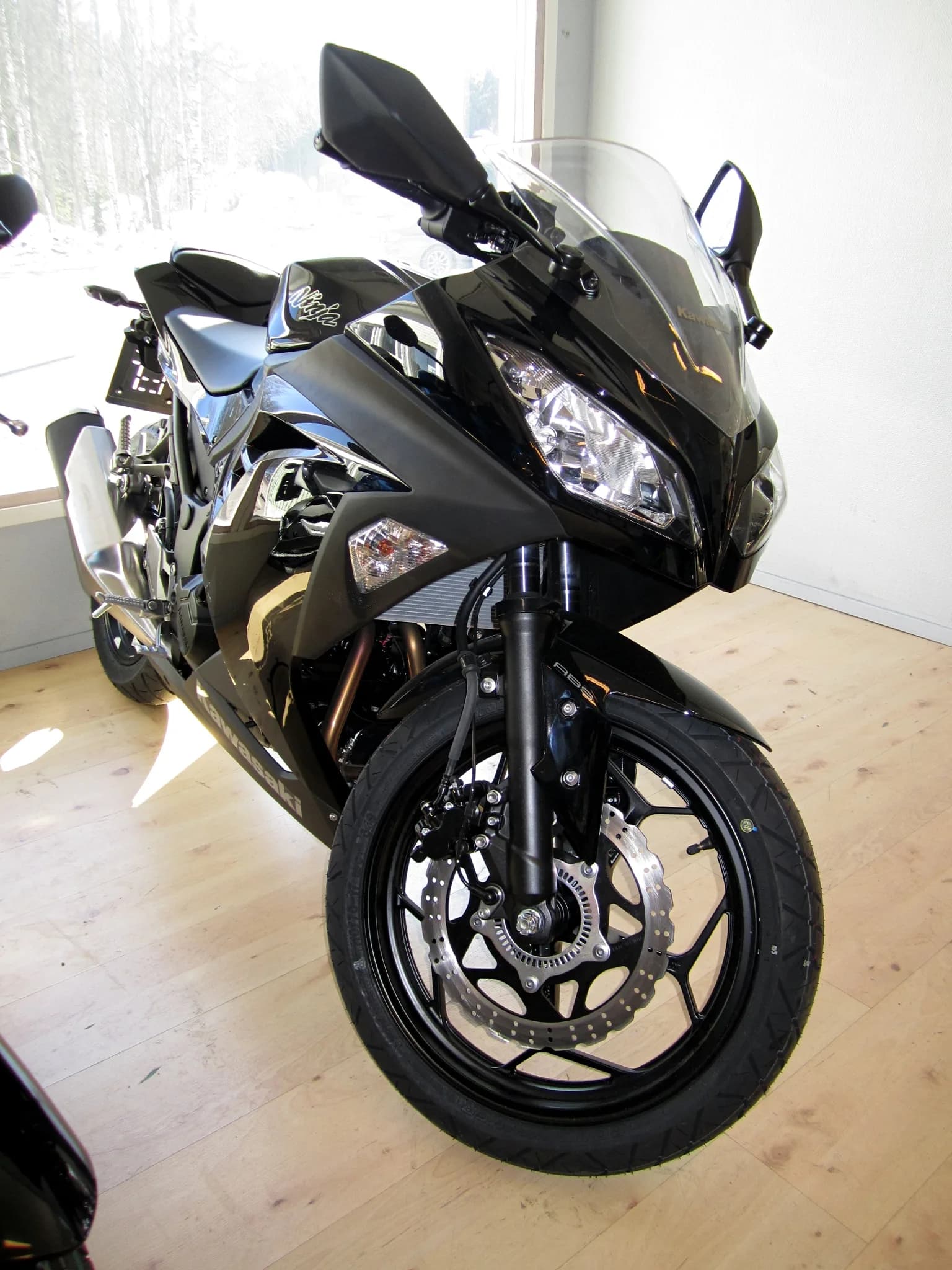 Kawasaki Ninja 300 (-)